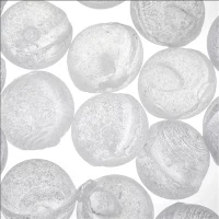 Ūdens apstrāde 1mm 3mm 6mm 10mm 20mm granulētas silifosa polifosfāta kristāla RO pretkaļķa bumbiņas